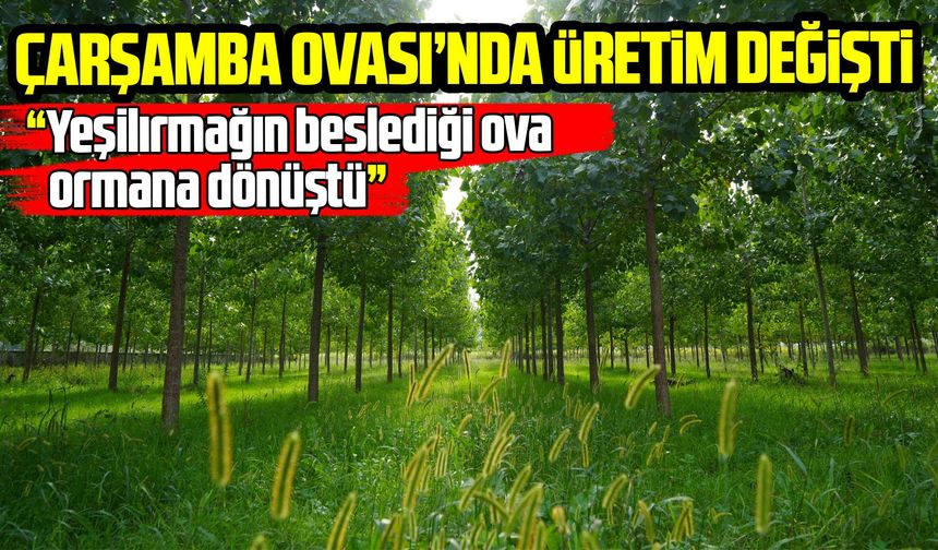 Samsun’un verimli ovasında üretim değişti