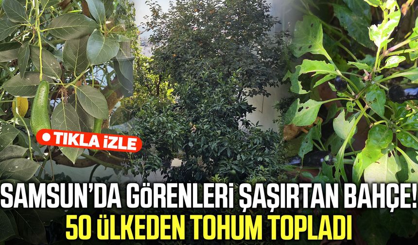 Samsun’da görenleri şaşırtan bahçe! 50 ülkeden tohum topladı