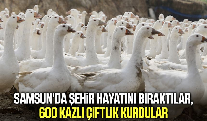 Samsun’da çocukluk hayali kaz çiftliğine dönüştü