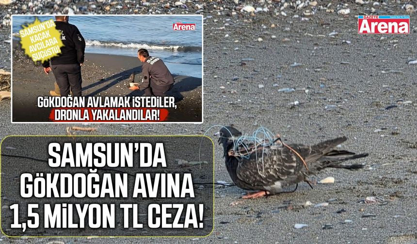 Samsun’da gökdoğan avına 1,5 milyon TL ceza!