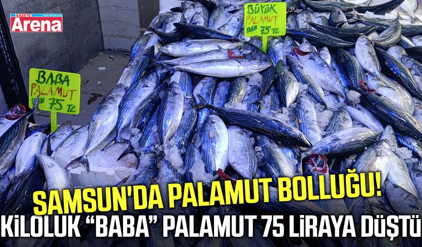 Samsun'da kiloluk baba palamut 75 liraya düştü!