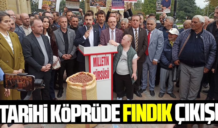 Çarşamba'da tarihi köprüde fındık açıklaması