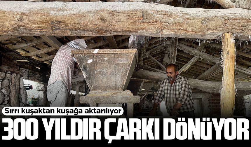 Samsun'da 300 yıllık su değirmeninde un öğütülüyor