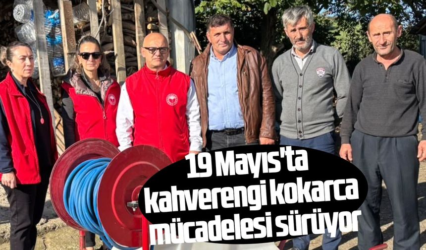 19 Mayıs'ta kahverengi kokarca mücadelesi sürüyor