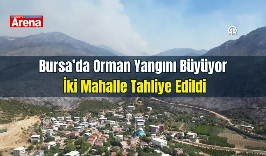 Bursa’da orman yangını büyüyor: İki mahalle tahliye edildi