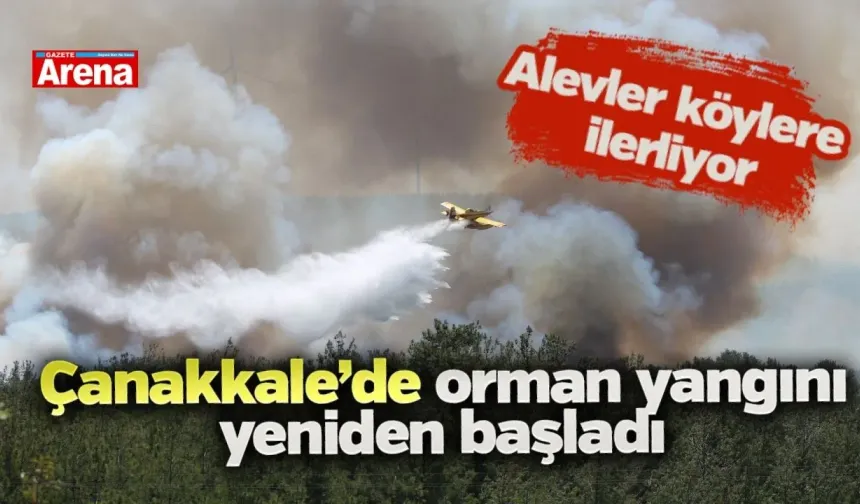 Çanakkale’de orman yangını yeniden başladı: Alevler köylere ilerliyor