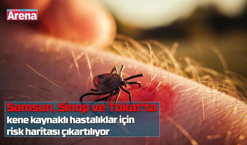Samsun, Sinop ve Tokat’ta kene kaynaklı hastalıklar için risk haritası çıkartılıyor