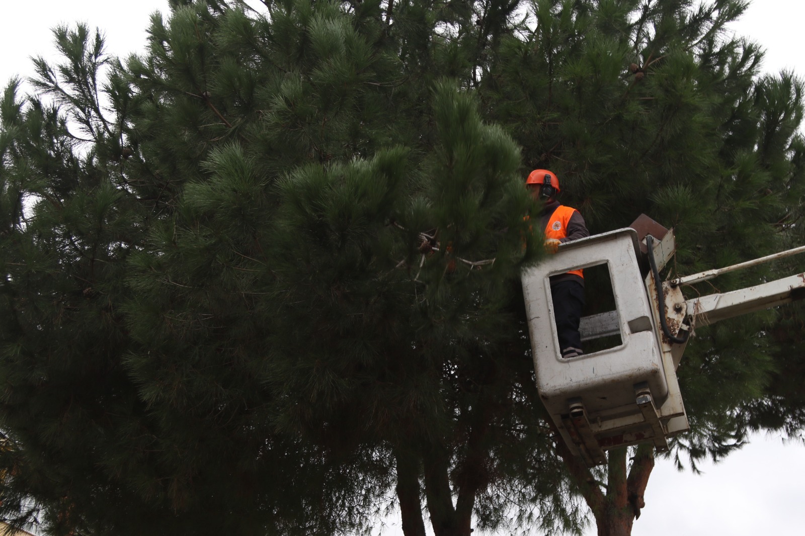 Atakum Belediyesi ekipleri daha güzel Atakum için yoğun mesaide