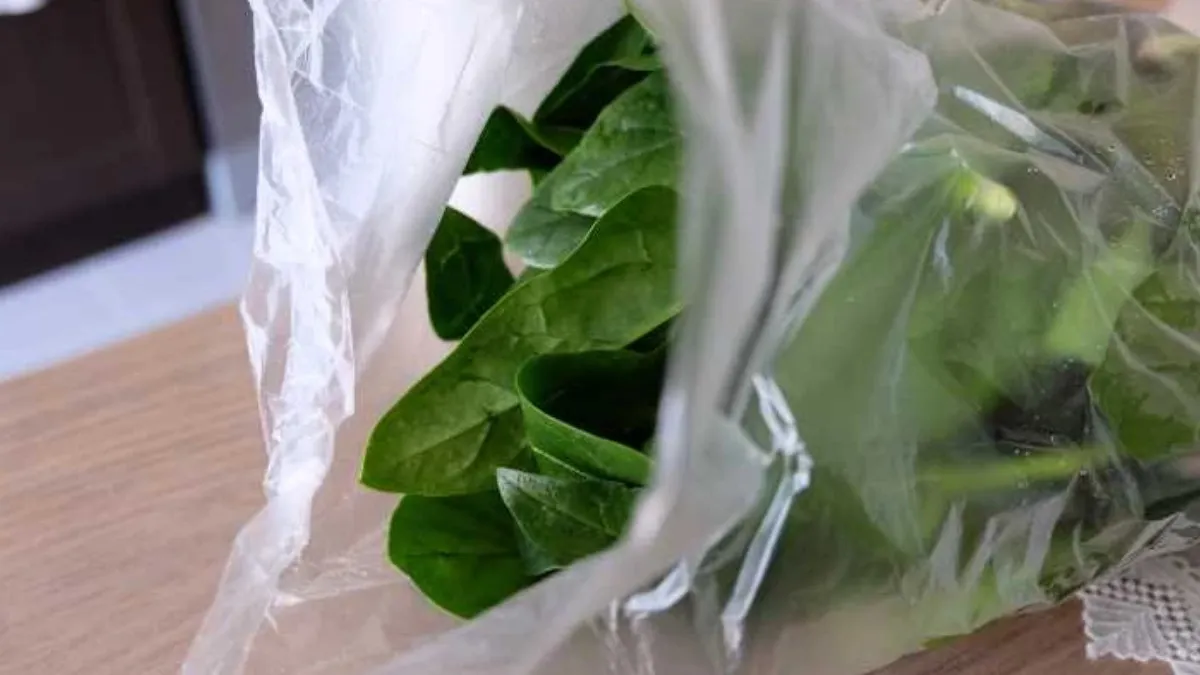 68F64E2A55064158 W1200Xh675