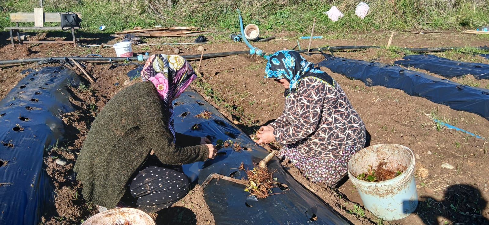 Whatsapp Görsel 2025 10 31 Saat 20.27.31 Ac6F7437