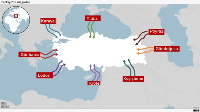 35D98D50 C579 11F0 9Fb5 5F3A3703A365.Jpg