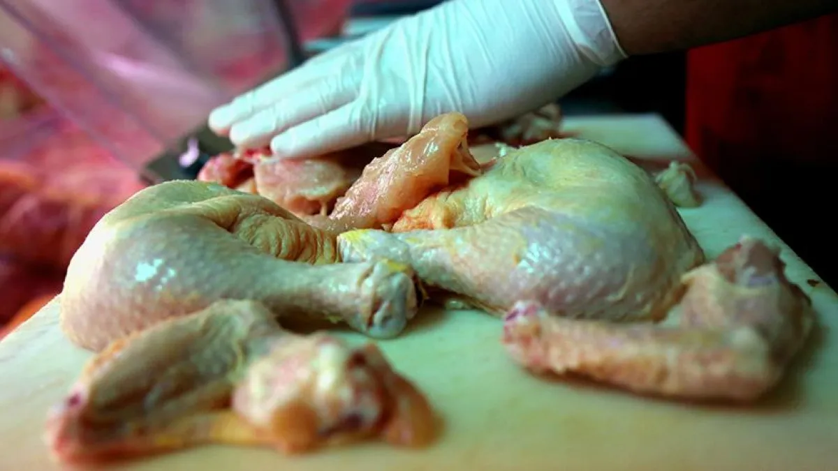 692705A11345E522 W1200Xh675