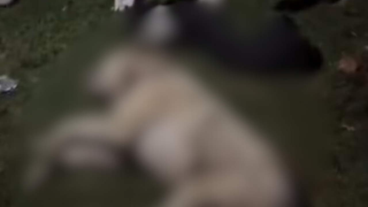 Adsız (1280 X 720 Piksel) 2025 11 24T225829.502