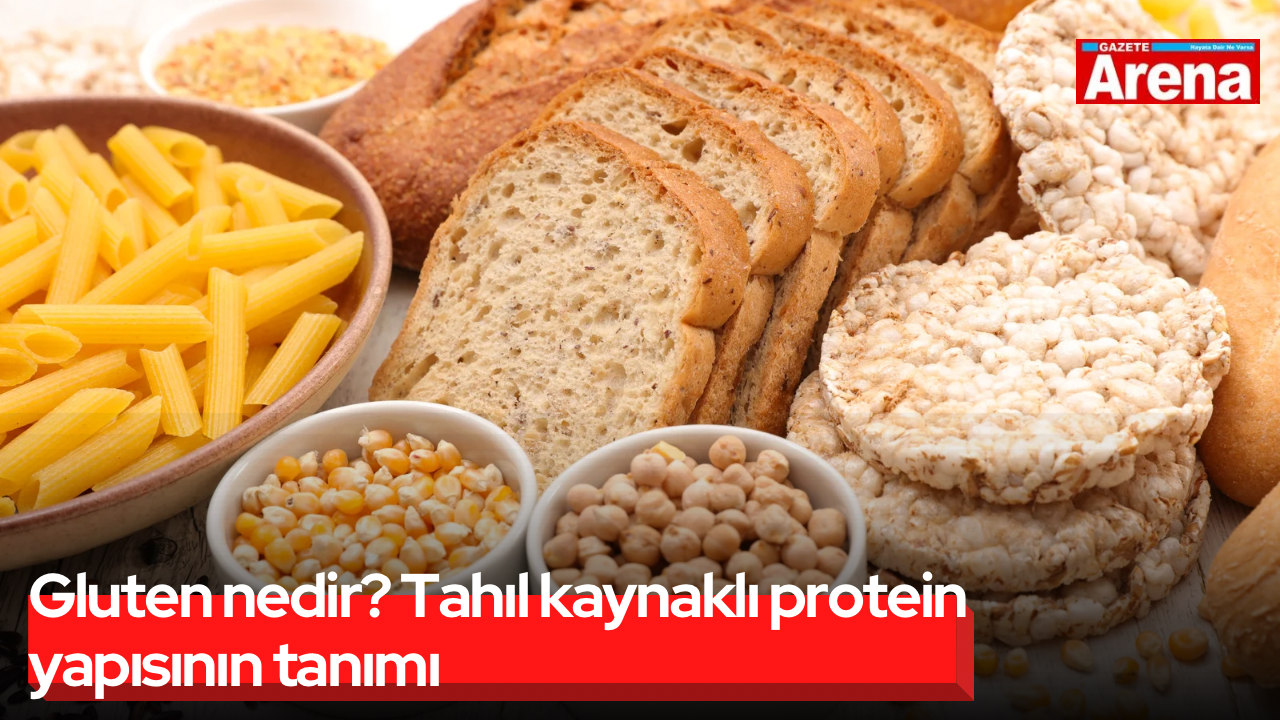 Gluten nedir? Tahıl kaynaklı protein yapısının tanımı