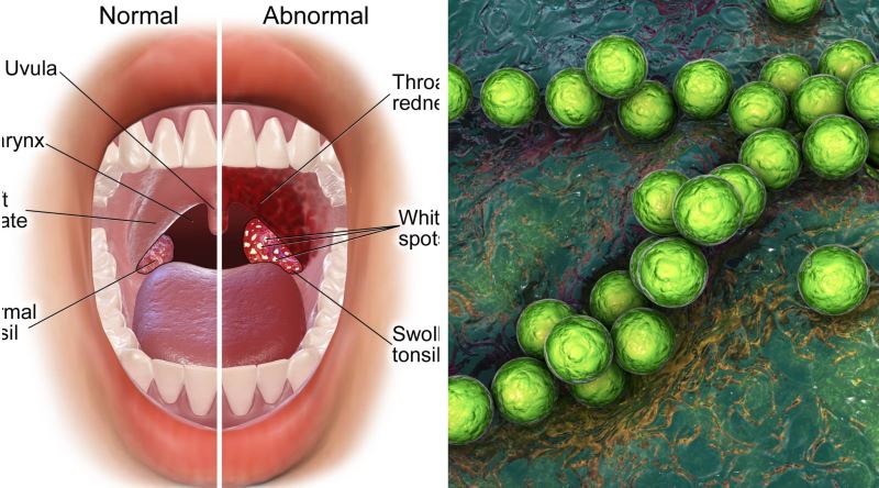 Gv I K J6 Eyz Mg Ll Zq 638101528828764855