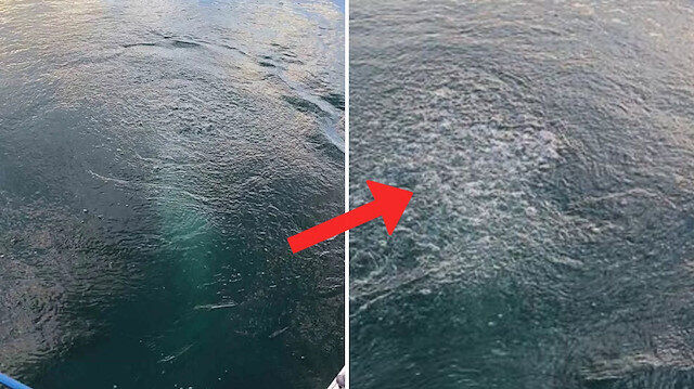 Resized 29E81 F3446Aa0Adsc4B1Ztasarc4B1M20251119T133031