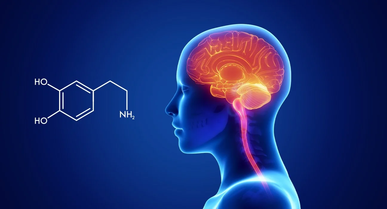 The Role Of Dopamine In The Mind
