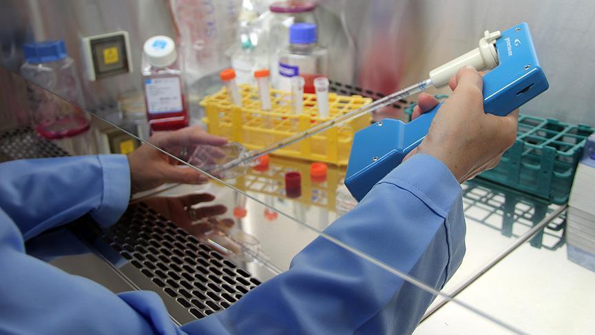 Thumbs B C 08Bf53D8F37A2912C1Db1832B78C491E