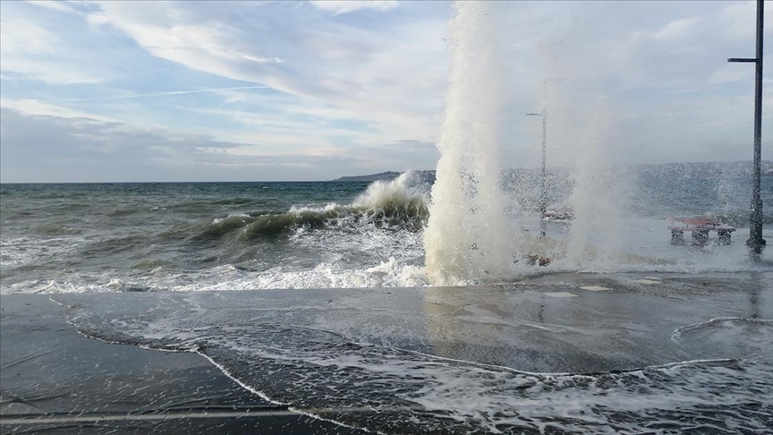 Thumbs B C 100B065Ecd36F53Eeb751A4B7113E284