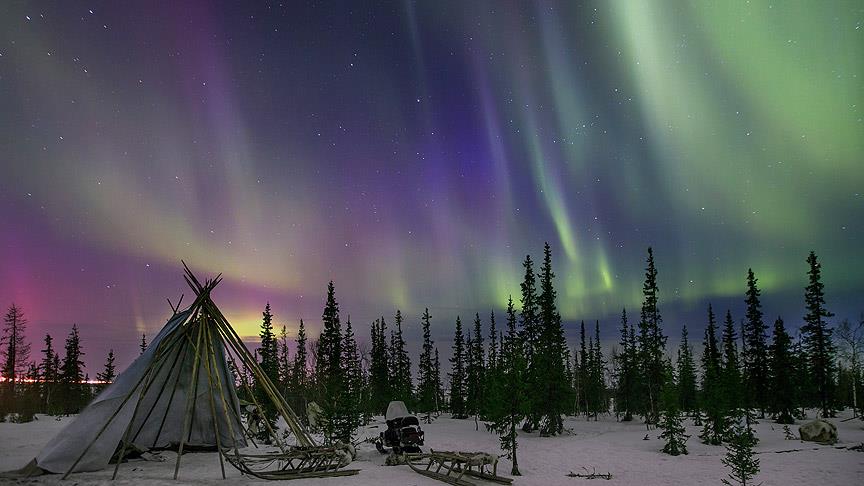 Thumbs B C 8D3854Bb281A764B875Eb3Cc529E73E5