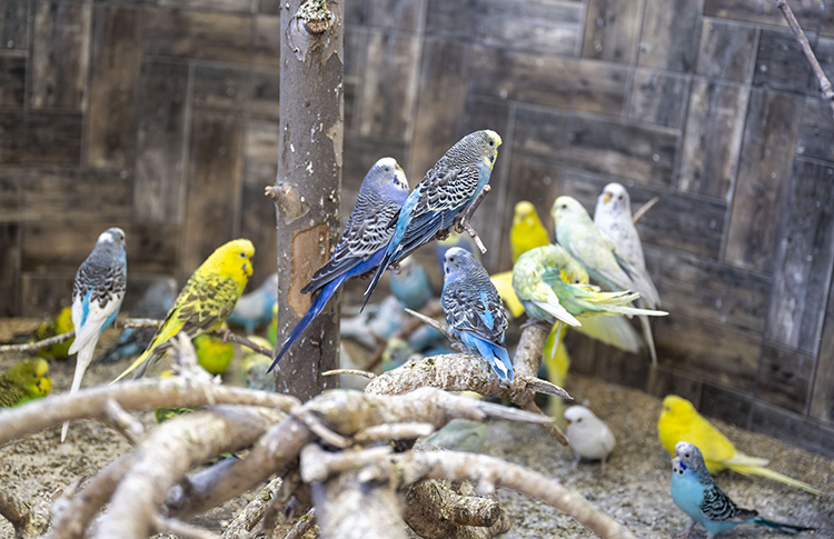 009 2023 006 2023 22 Temmuz 10 20230708 2 59412654 90786755