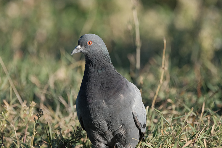 08 Nisan 04 Ekim 07 Aa 32970801