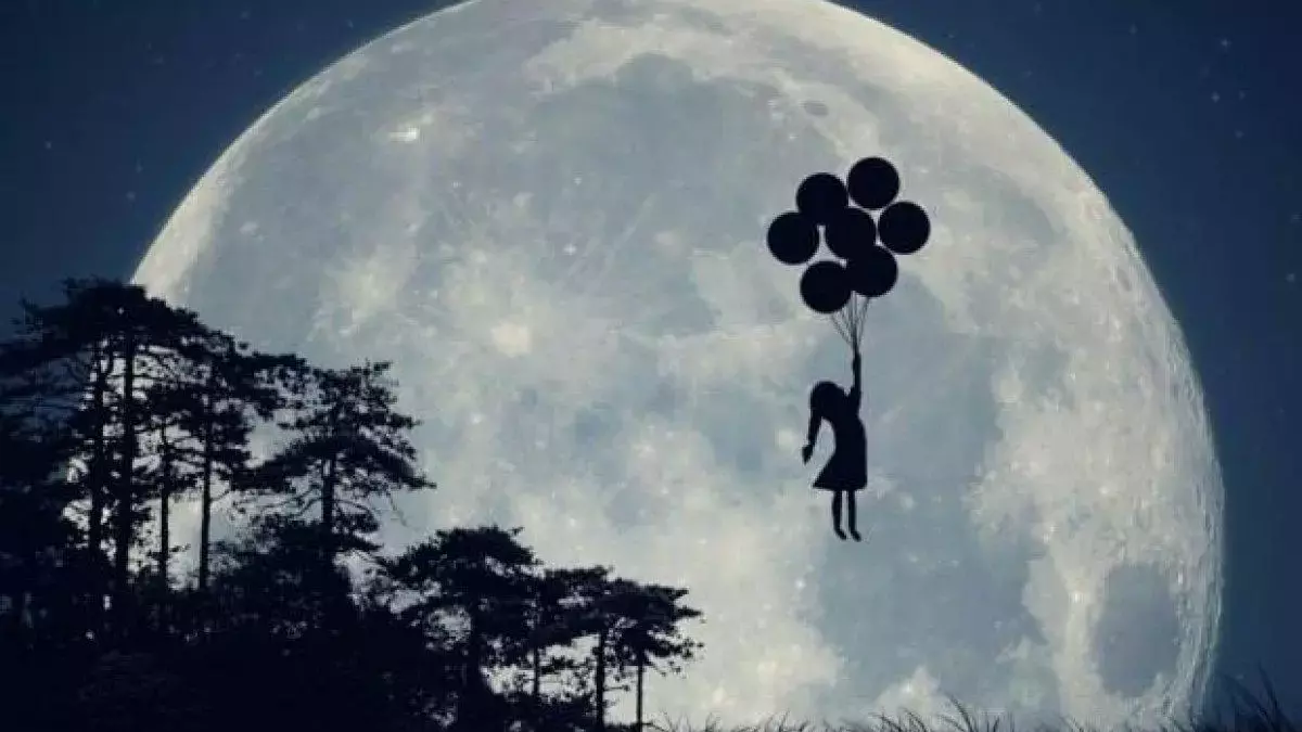 60Fb2A9879Da3E1260158E77