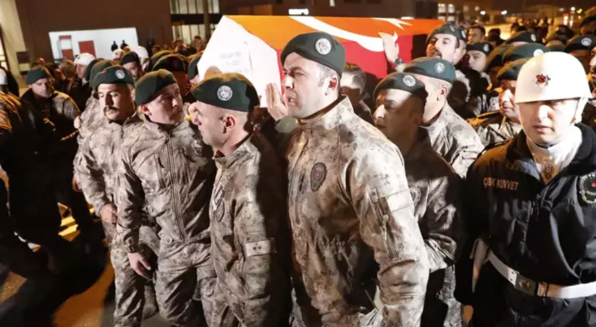 6937171Eb72D8E1Edd6372Ff