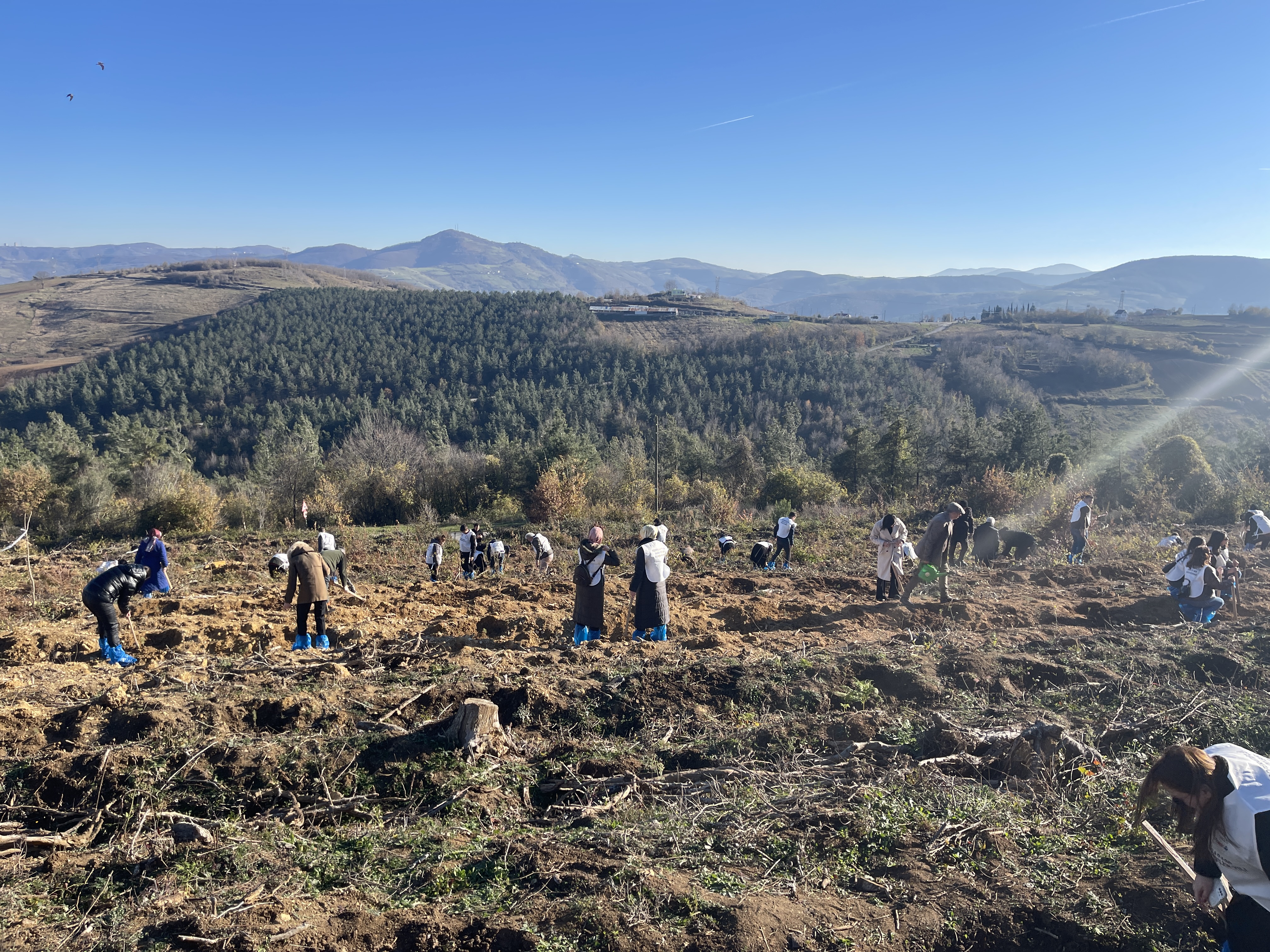 A A 20251218 40017924 40017923 S A M S U N D A U L U S L A R A R A S I K O O P E R A T I F L E R Y I L I K A P S A M I N D A H A T I R A O R M A N I O L U S T U R U L D U