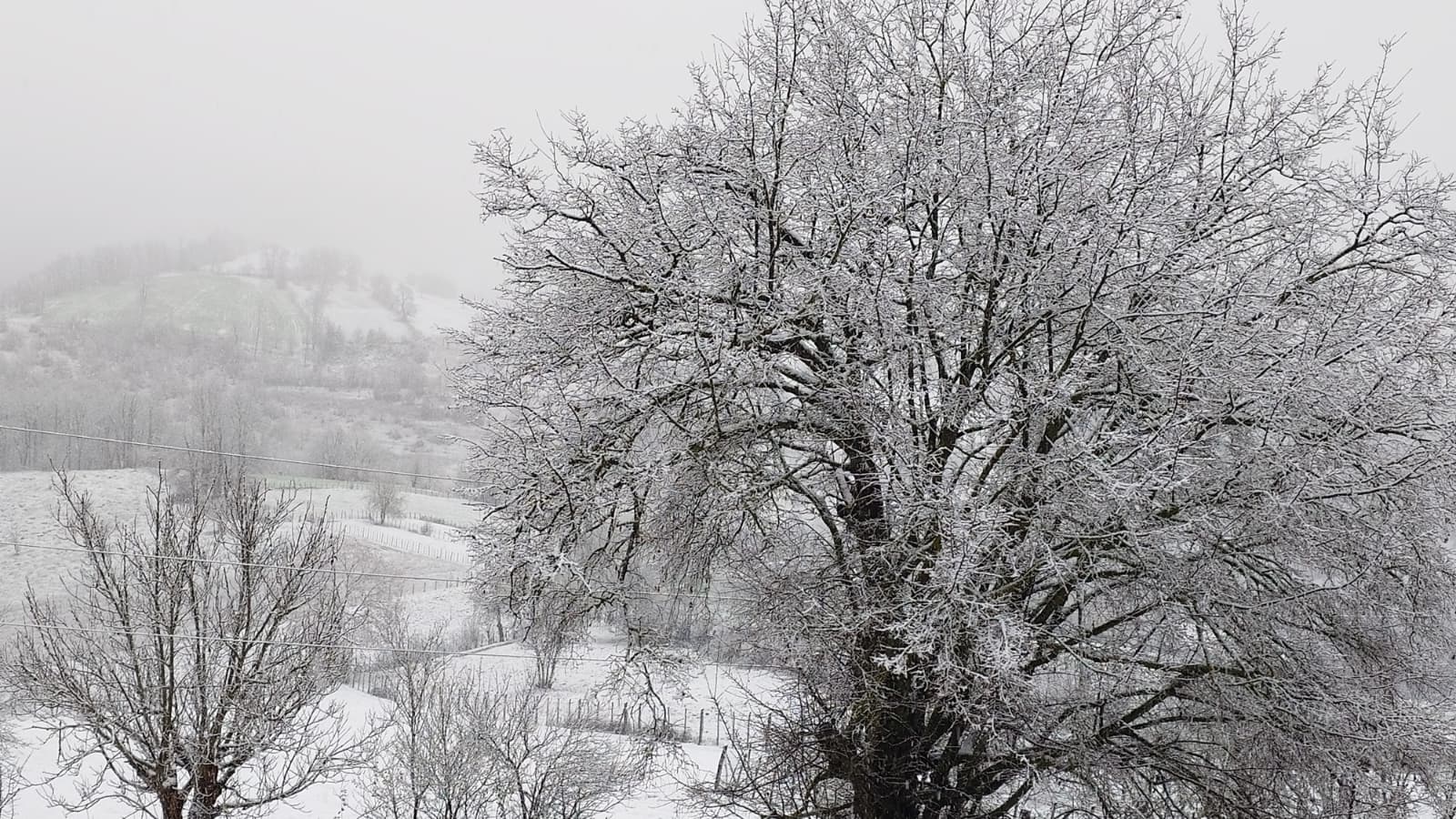 Aa 20251216 39999168 39999166 Samsunun Asarcik Ilcesine Mevsimin Ilk Kari Dustu (1)