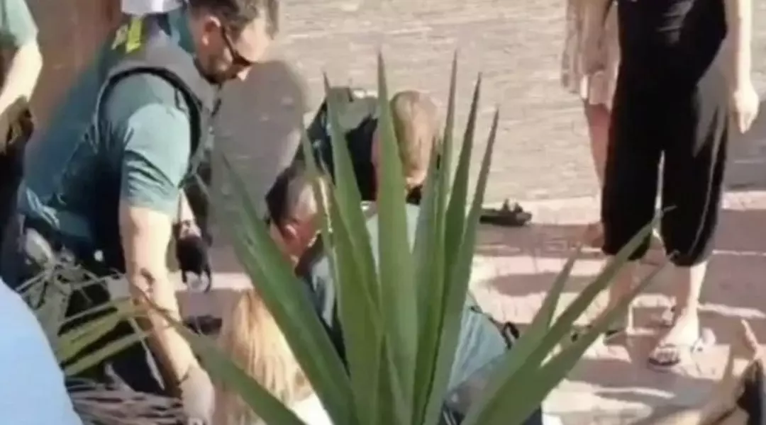 Daltonlar Suc Orgutu