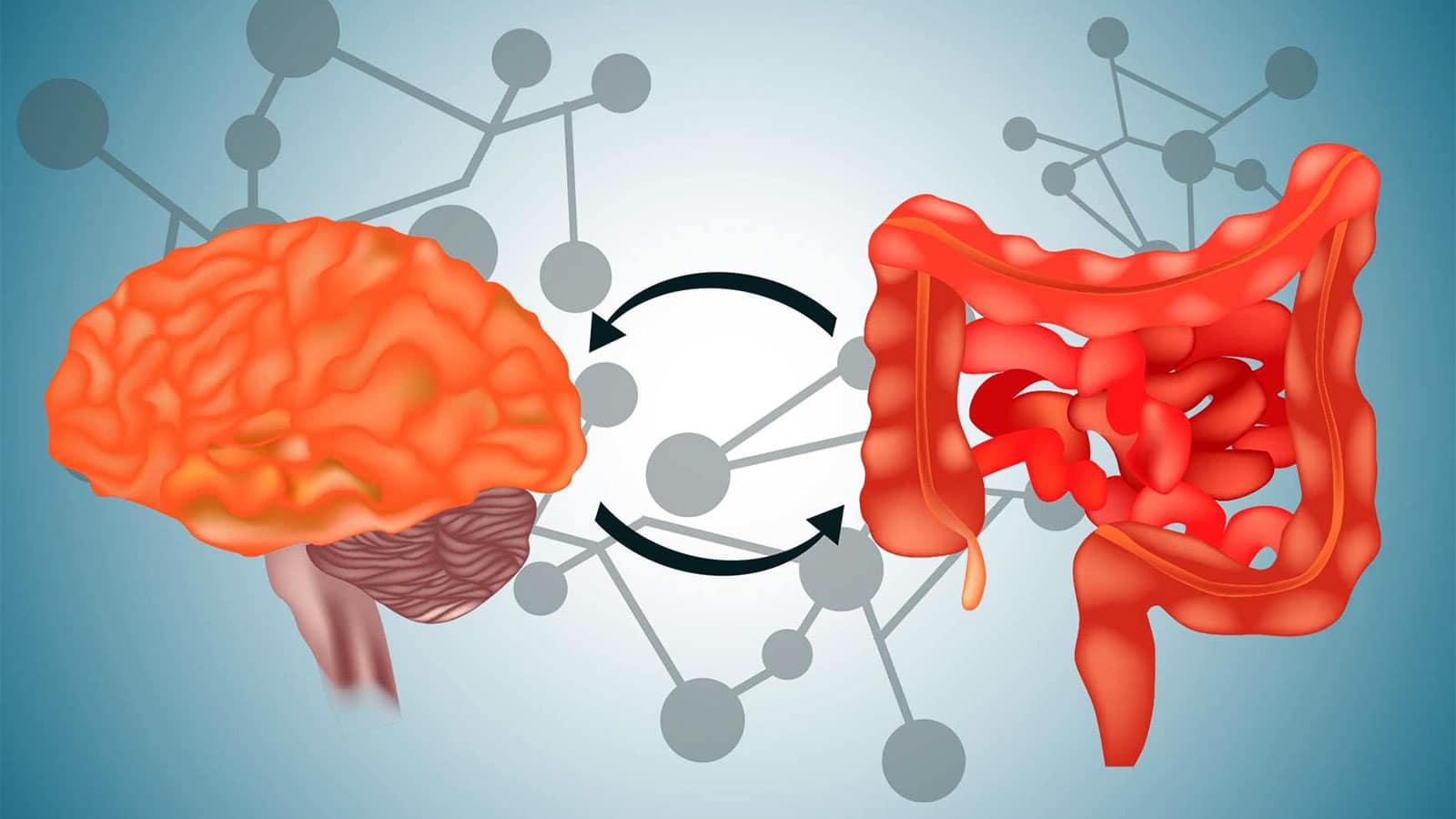 Mikrobiyota Beyin Ekseni Bagirsaktaki Mikroplar Beynimizi Nasil Etkiliyor