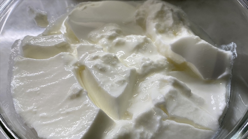 Thumbs B C 04942Bfd42C5E03Ada428C17687Fa5B5