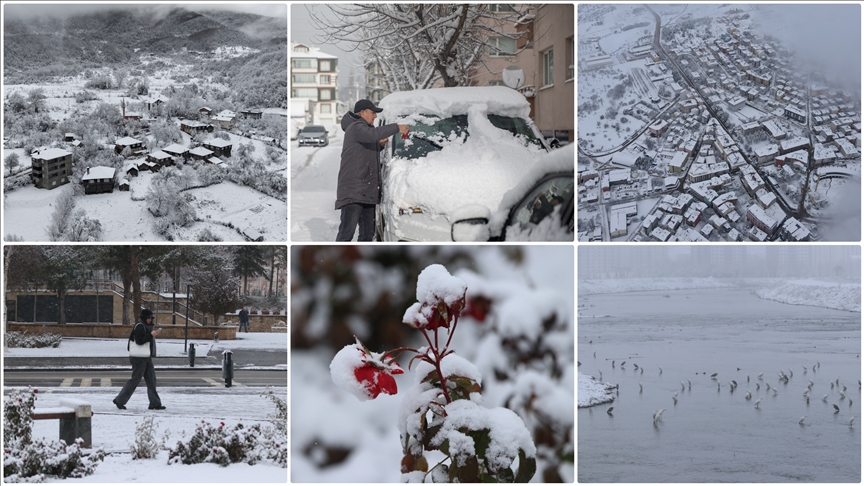 Thumbs B C 08Cb2Fc8547322A519552Fa2C58172E8