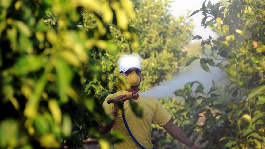 Thumbs B C 0Effee18Bd4934Bf6E0Abb3Fa05C4161