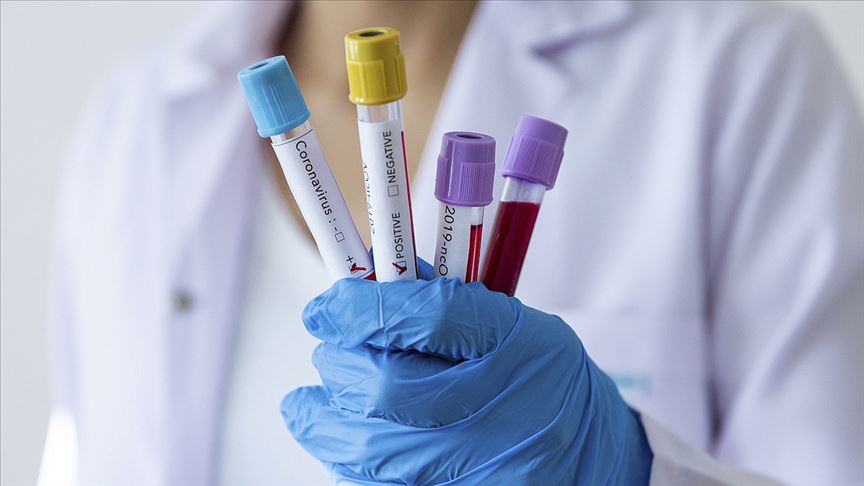 Thumbs B C 46B0105118Ab66A7Ef2Fa310B075F91A