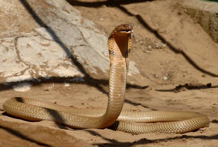 Thumbs B C 6Aad3B020082434E52Ca7D39Cb2905B8