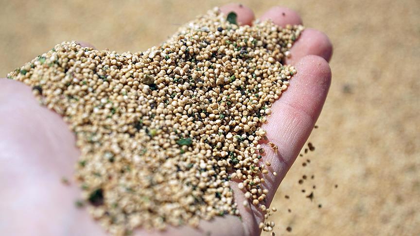 Thumbs B C 8D94885A3E0Ef5030B2D0550F71Ee62F