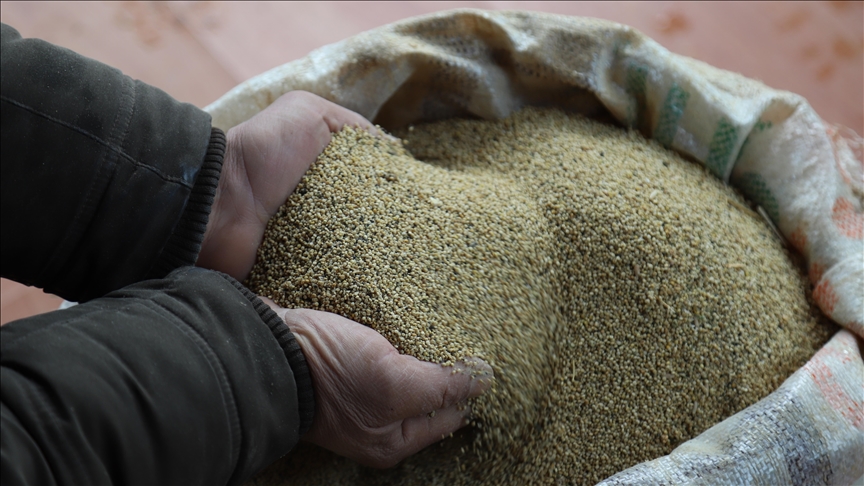 Thumbs B C Ad61F4D75B6E8Eb5342406Eb4Ce6461E