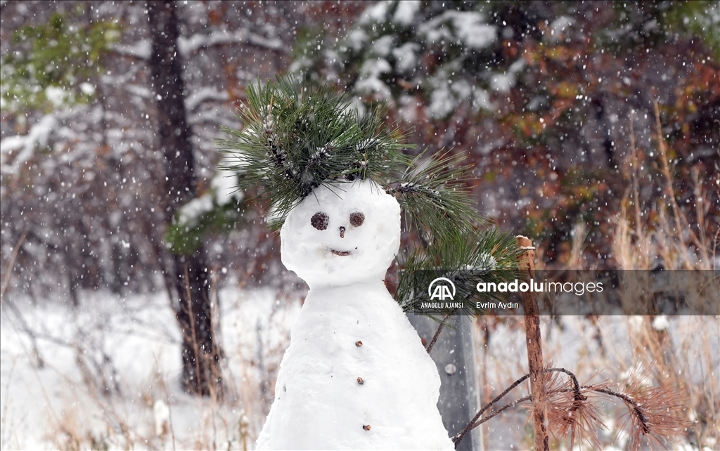 Thumbs B2 2Dce903Df309858971C1Da271F0Bfab1