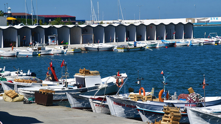 Balıkçı Barınağı