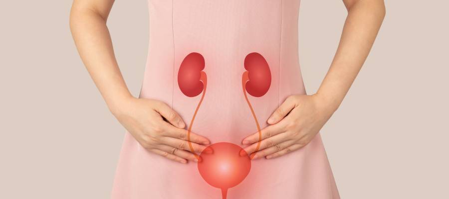 Idrar Yolu Enfeksiyonu 151120241038519586285