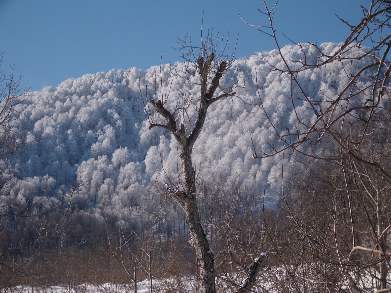 Nebiyan Dağı Kış Resimleri 1