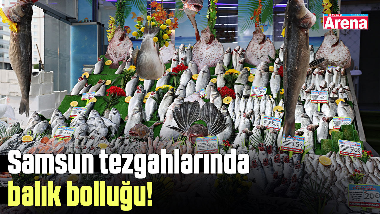 Samsun tezgahlarında balık bolluğu!