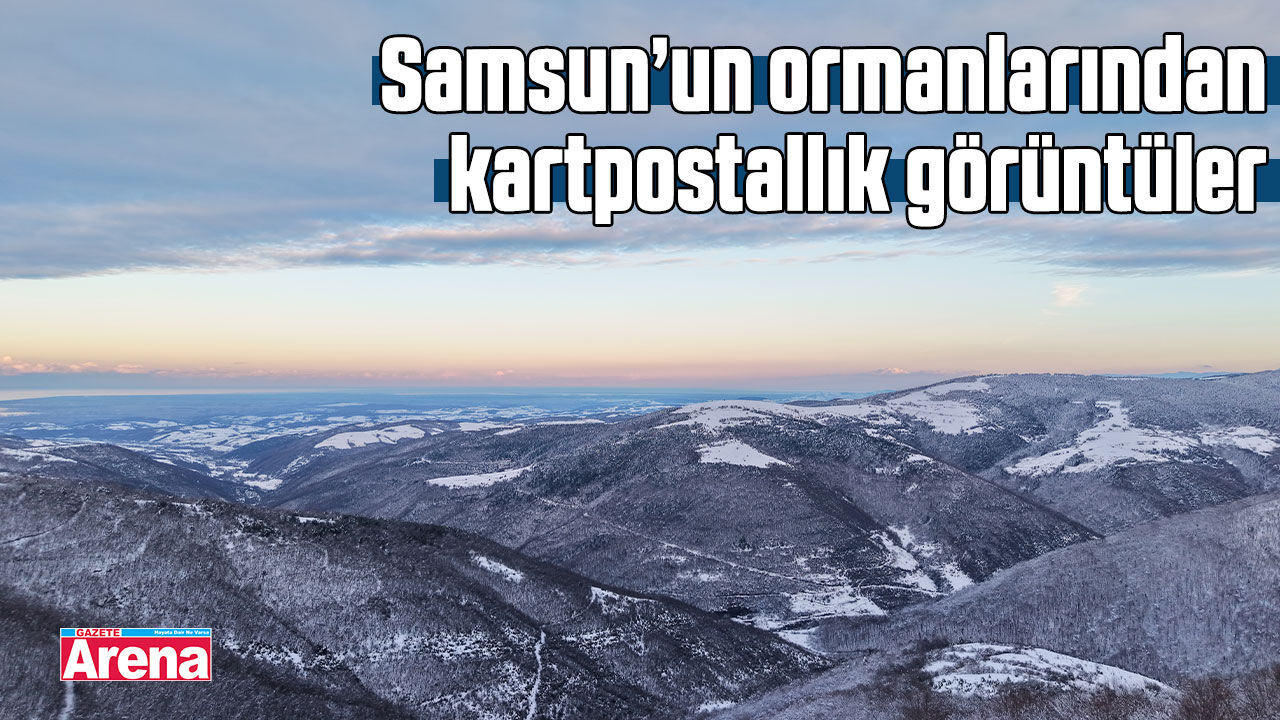 Samsun’un ormanlarından kartpostallık görüntüler