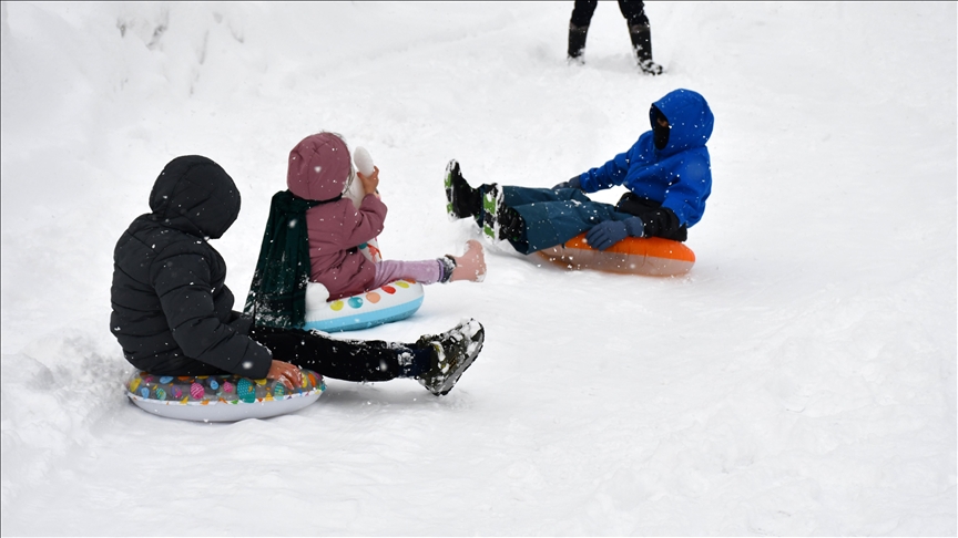 Thumbs B C 1Ffaf63097672A507A16A6846694A8Ce