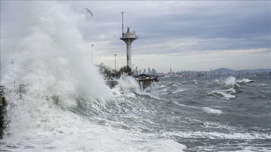 Thumbs B C 3Aaf2D02079C38C66Fb3934B9Fe71962