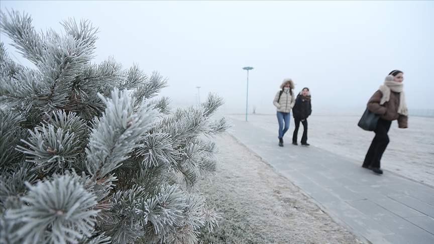 Thumbs B C 6F0Efd8B7Ccddf493070A08A8C1122A2