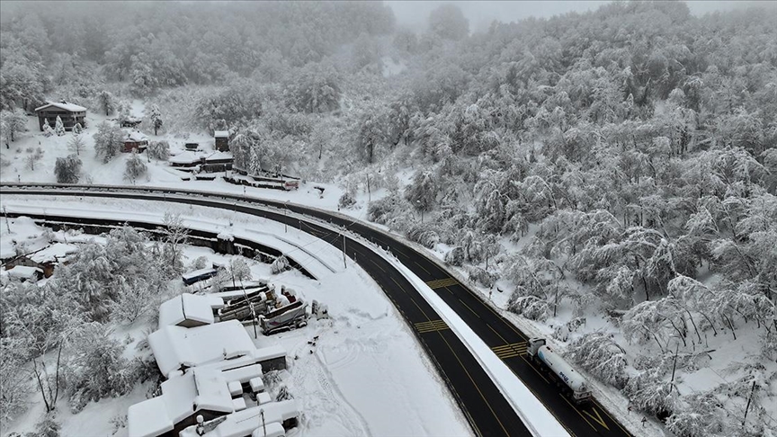 Thumbs B C 71C481Ef426440D227034391Efe7929E