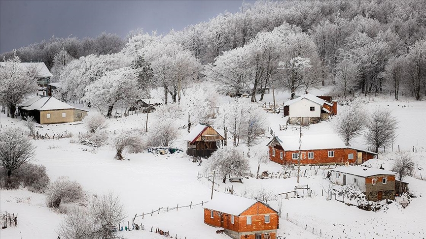 Thumbs B C 97842Fef6D92909218369A72530D1276-1